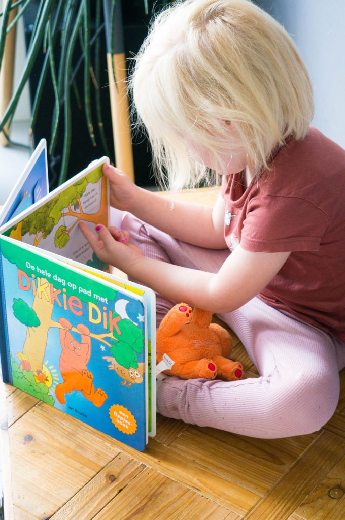 Recensie De Hele dag op pad met Dikkie Dik - Kidshoekje.nl