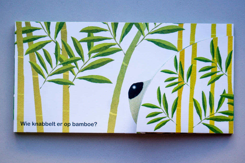 Kinderboek Wie Zit Daarachter - Kidshoekje.nl