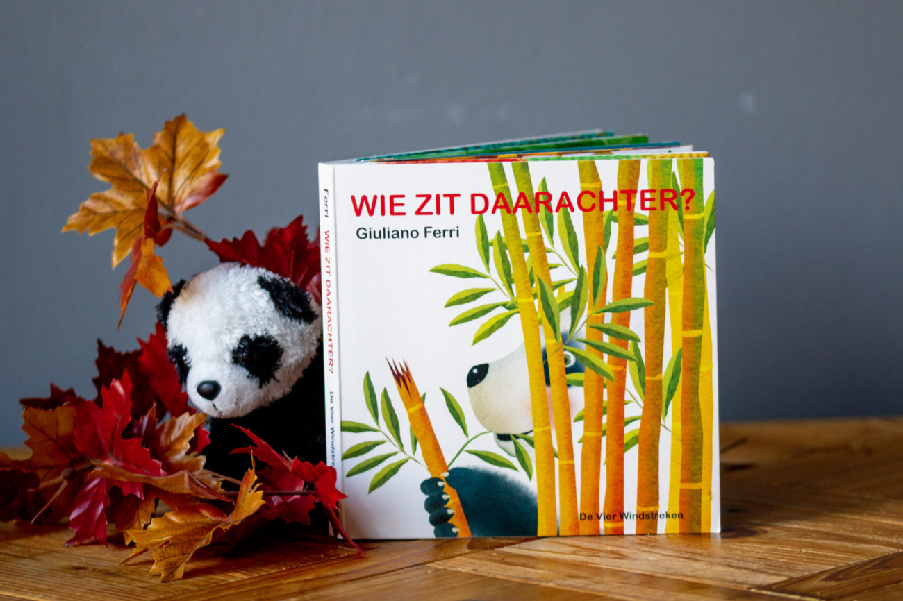 Recensie Wie Zit Daarachter - Kidshoekje.nl