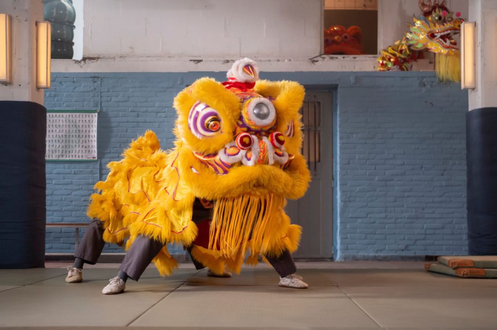 Filmtip Kung Fu Leeuw - Kidshoekje.nl