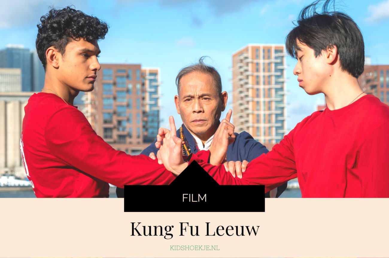 Kung Fu Leeuw - Kidshoekje.nl