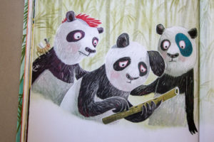 Kinderboek De Pandaband - Kidshoekje.nl