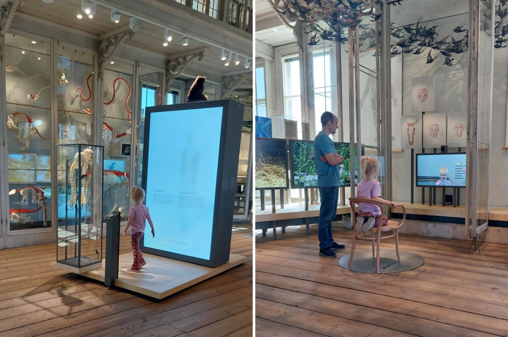 TIP ARTIS Groote Museum - Kidshoekje.nl