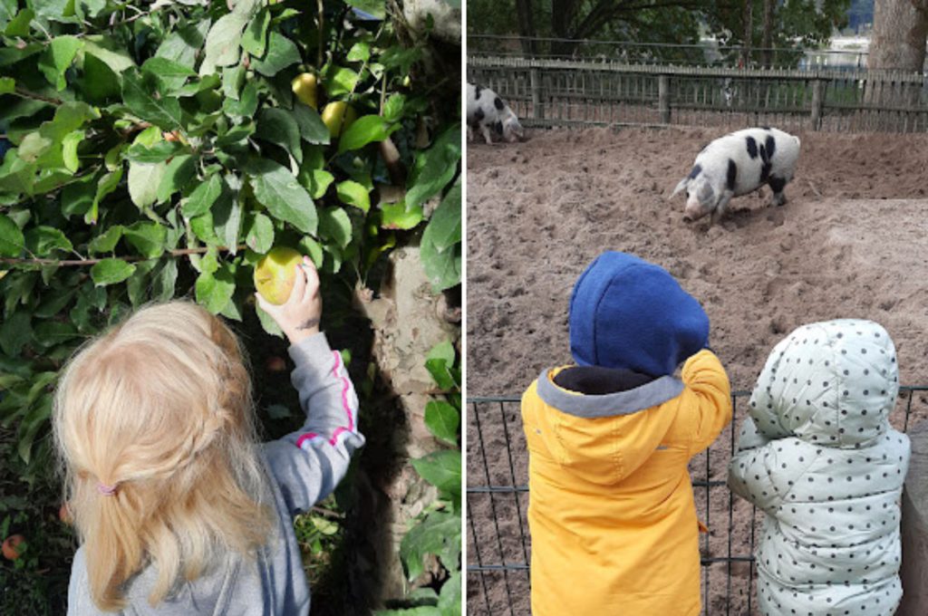 Tip Zo leer jij jouw kinderen duurzaam leven - Kidshoekje.nl
