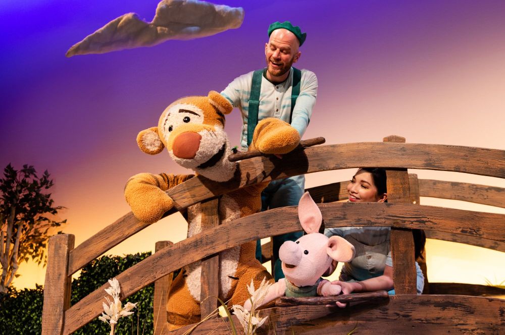 Disney Winnie de Poeh de Musical - Kidshoekje.nl
