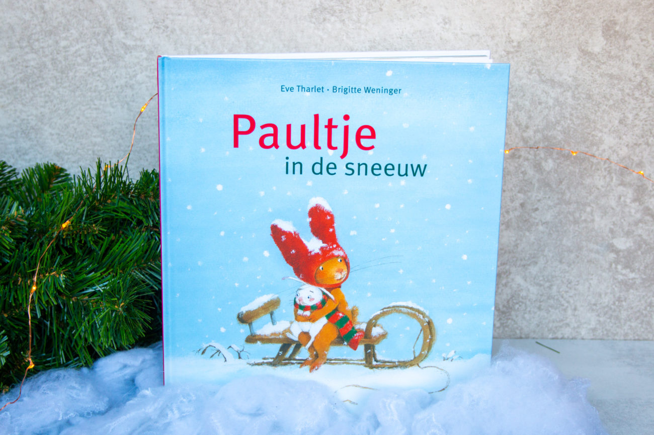 Paultje in de Sneeuw - Kidshoekje.nl