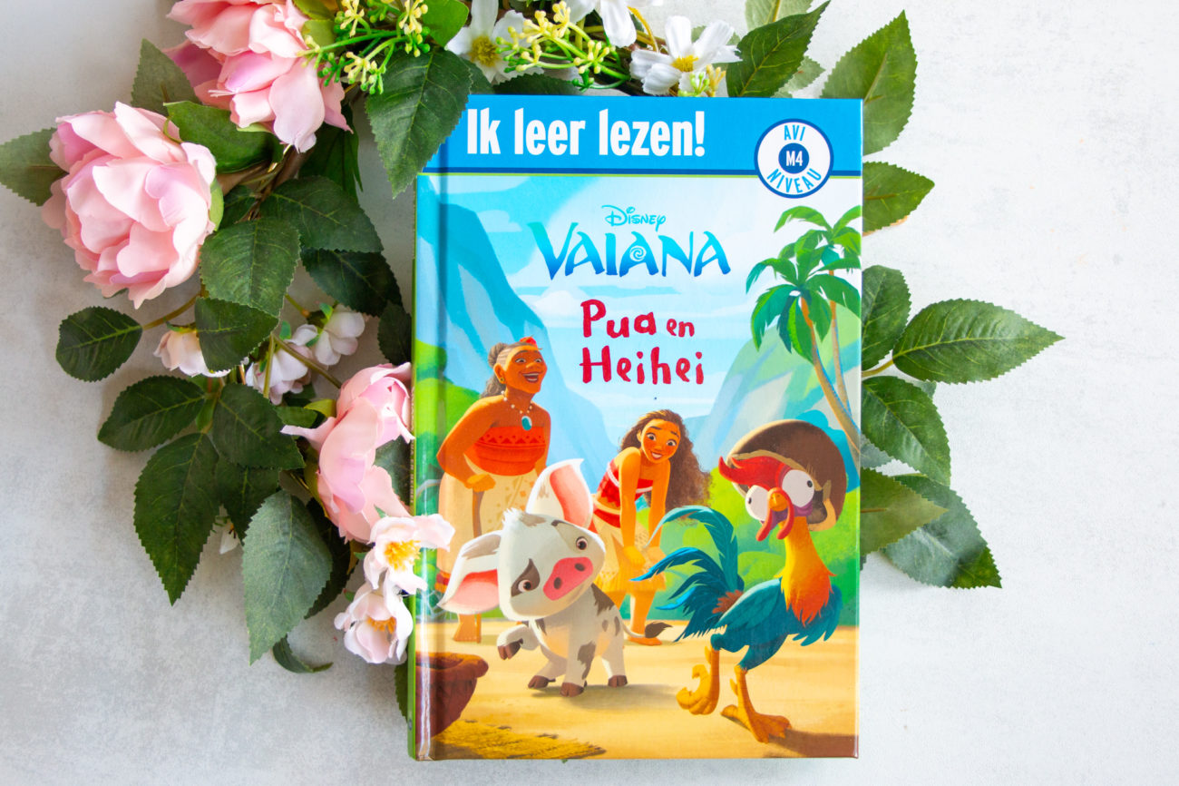 Disney Vaiana Pua en Hei Hei - Kidshoekje.nl