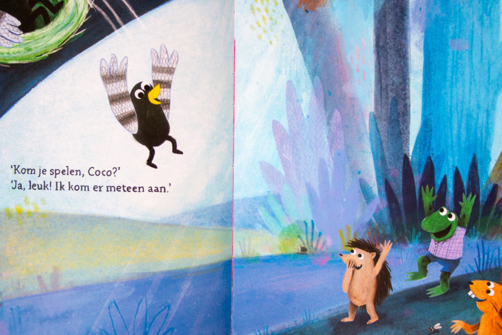 Boek Coco en het Gekke Ding - Kidshoekje.nl