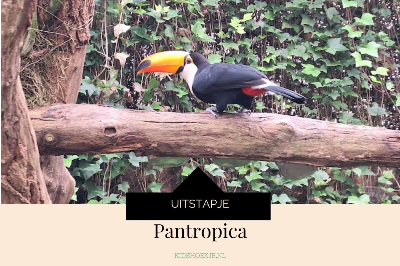 Pantropica - Kidshoekje.nl
