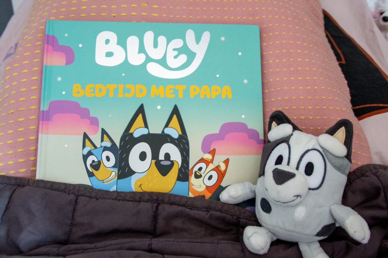 Bluey Bedtijd met papa - Kidshoekje.nl