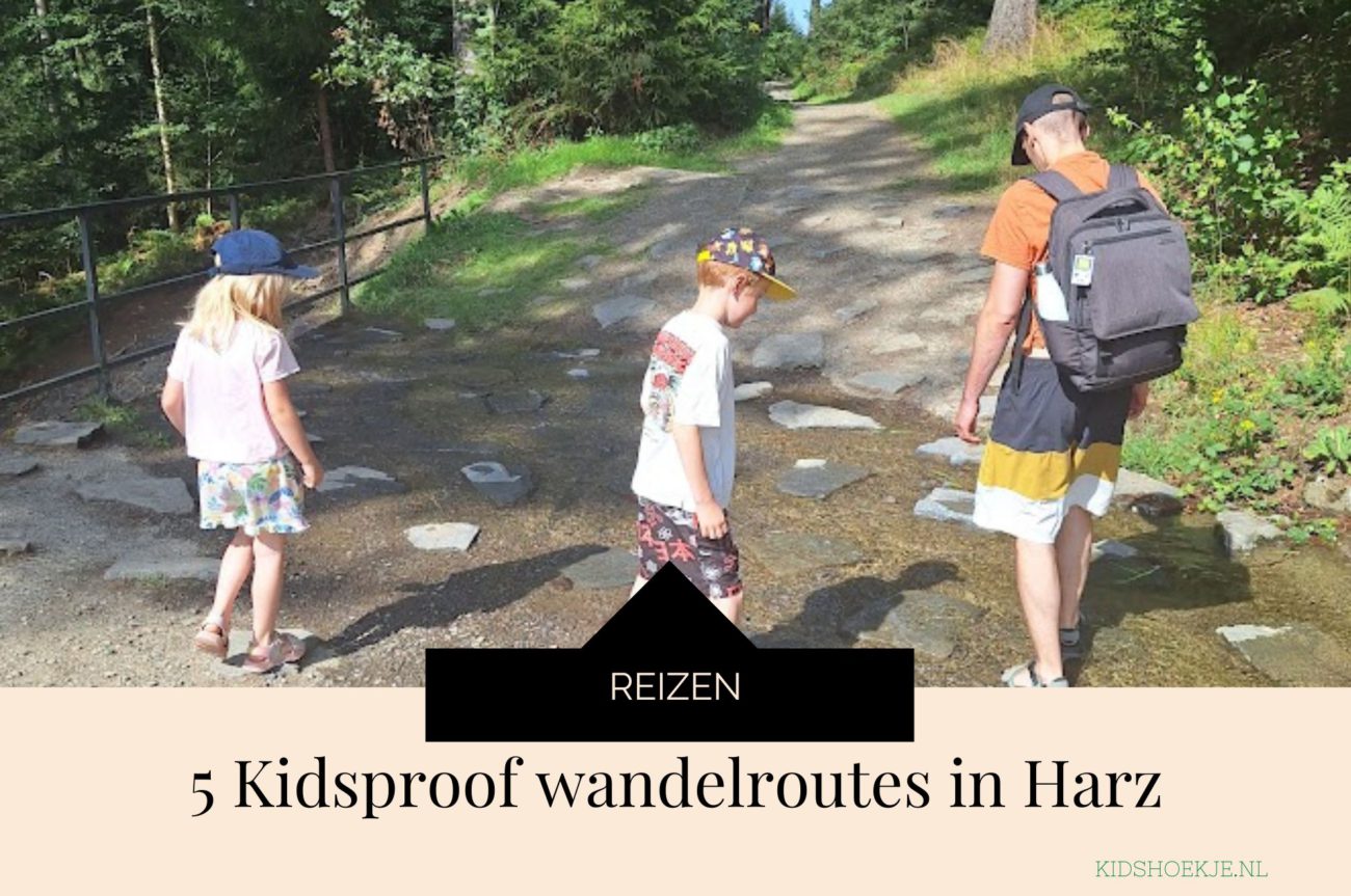 5 Kidsproof wandelroutes in Harz - Kidshoekje.nl