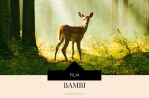 Film Bambi - Kidshoekje.nl