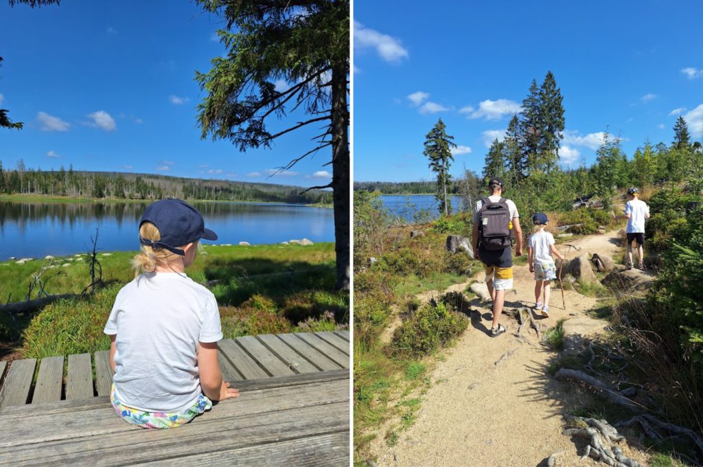 Oderteich Wandelroute Harz - Kidshoekje.nl