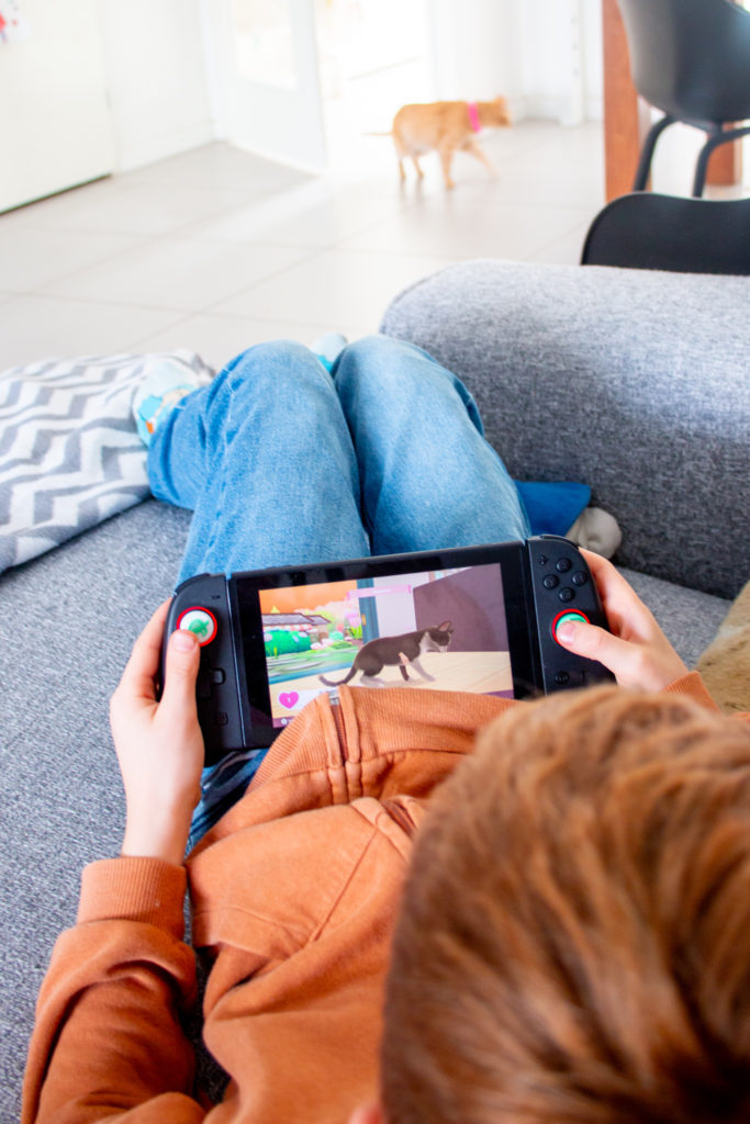 Spelen Cat Rescue Story op Nintendo Switch - Kidshoekje.nl