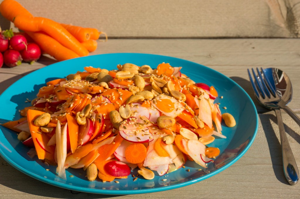 Indische wortelSalade (LoveMySalad van W Panse-Moedt) - kidshoekje.nl