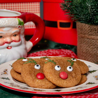 Zachte Rudolf Gingerbread Koekjes - Kidshoekje.nl