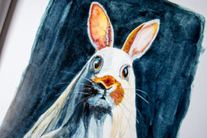 Recensie Het boek van Joek - Kidshoekje.nl