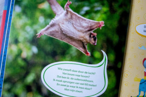 Zwijsen Mijn grote AVI E4 boek over Helden - Kidshoekje.nl