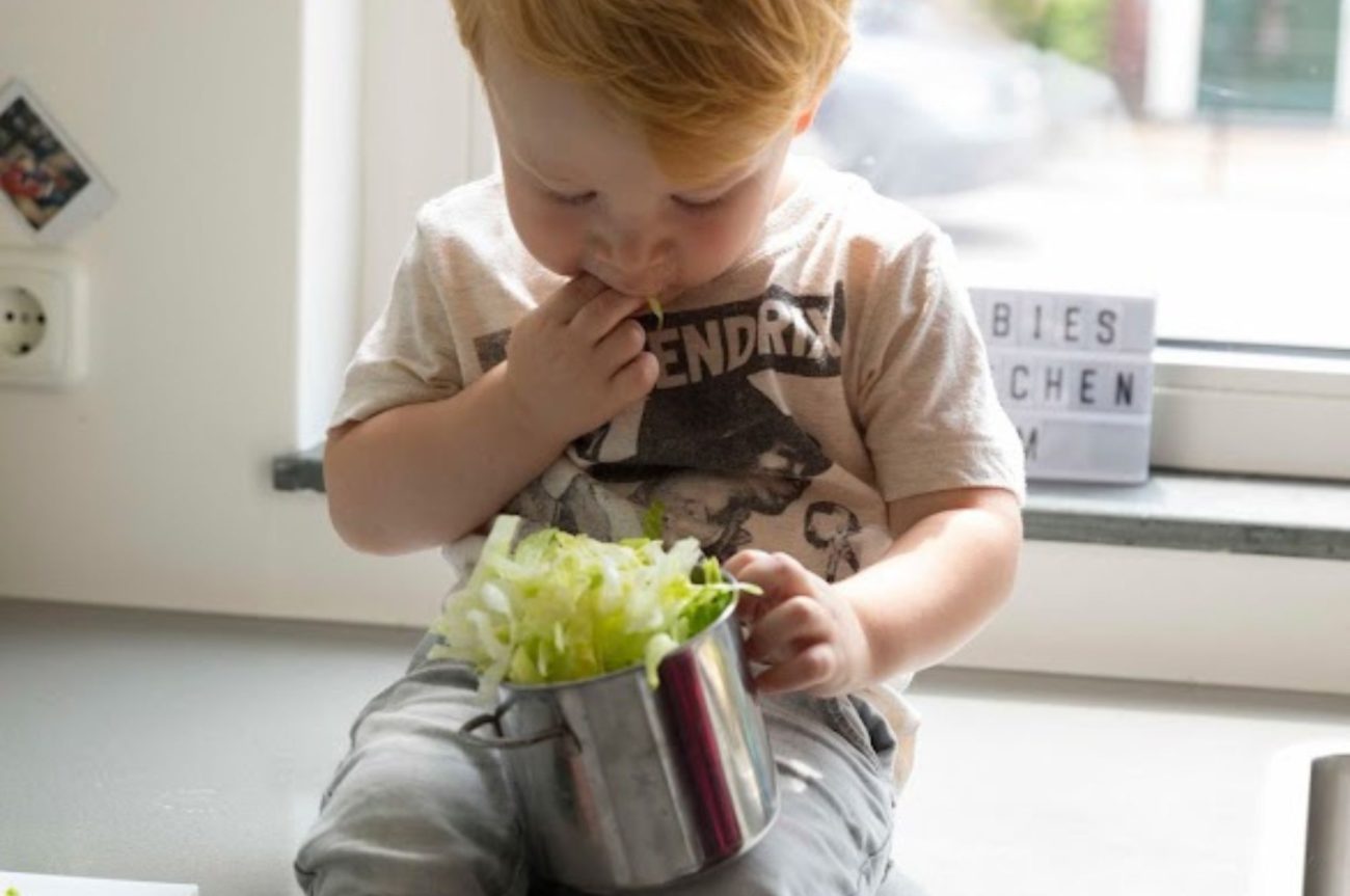 Help, mijn kind wil geen groente eten! Tips om je kind groente te laten eten - Kidshoekje.nl