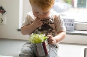 Help, mijn kind wil geen groente eten! Tips om je kind groente te laten eten - Kidshoekje.nl