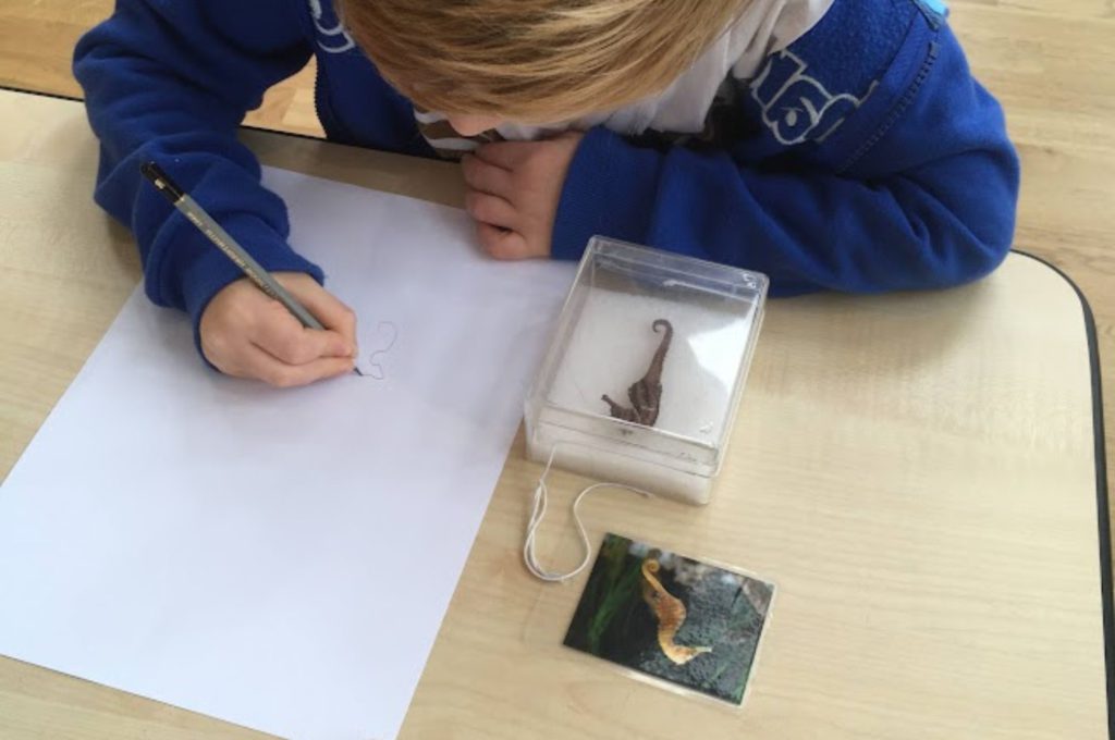 Welke soort pen past bij welke leeftijd - Kidshoekje.nl