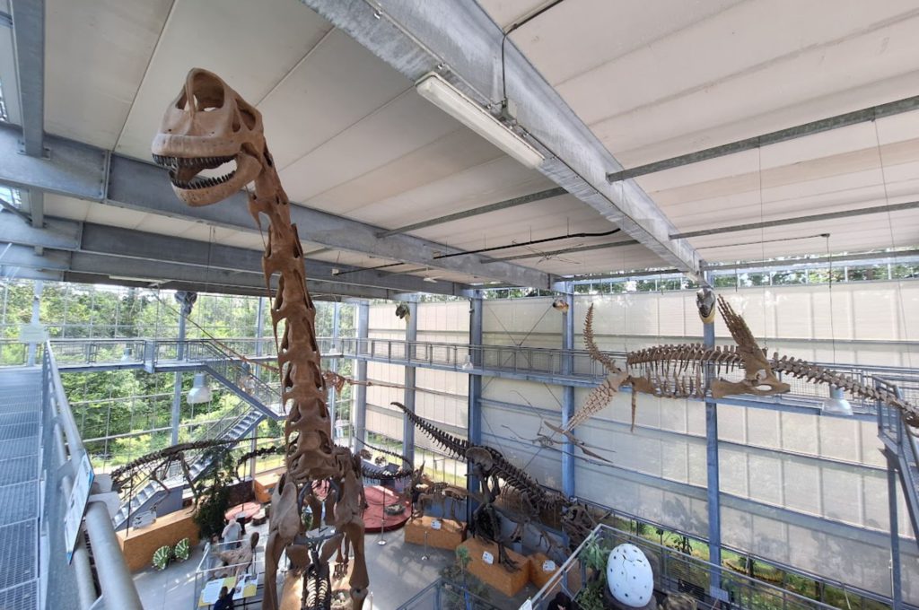 Oertijdmuseum Binnen - Kidshoekje.nl